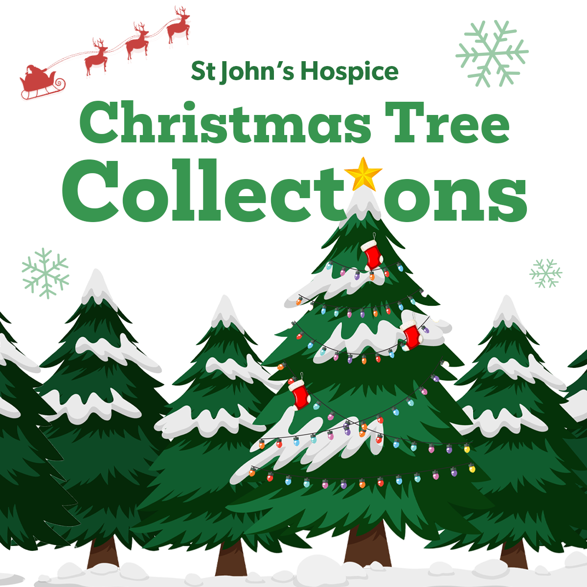 St John's Hospice Christmas Tree Collections