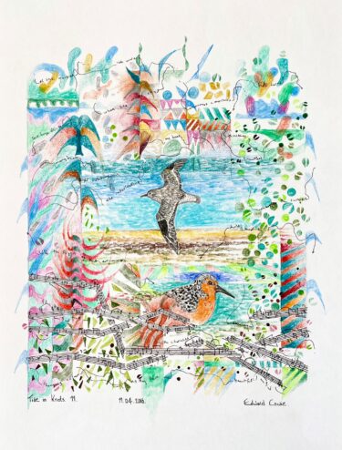 Original drawing by Heather Cowie