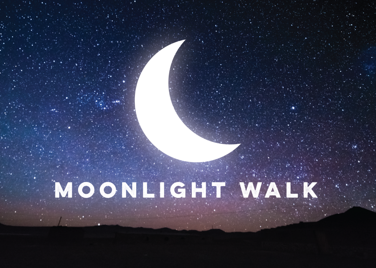Moonlight Walk 2025 St John's Hospice